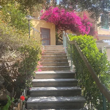 Casa Paradiso 哥斯达雷